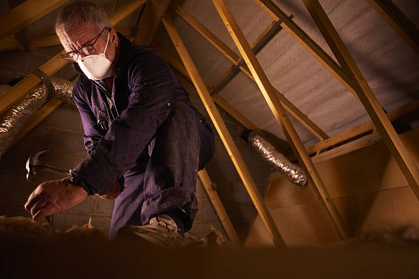 Best Insulation Maintenance and Repair in Trenton, OH