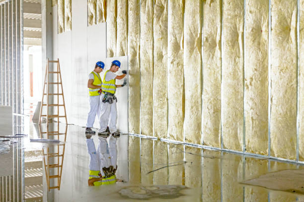 Professional Insulation Contractor in Trenton, OH